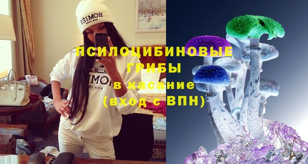 прущая мука Богородск